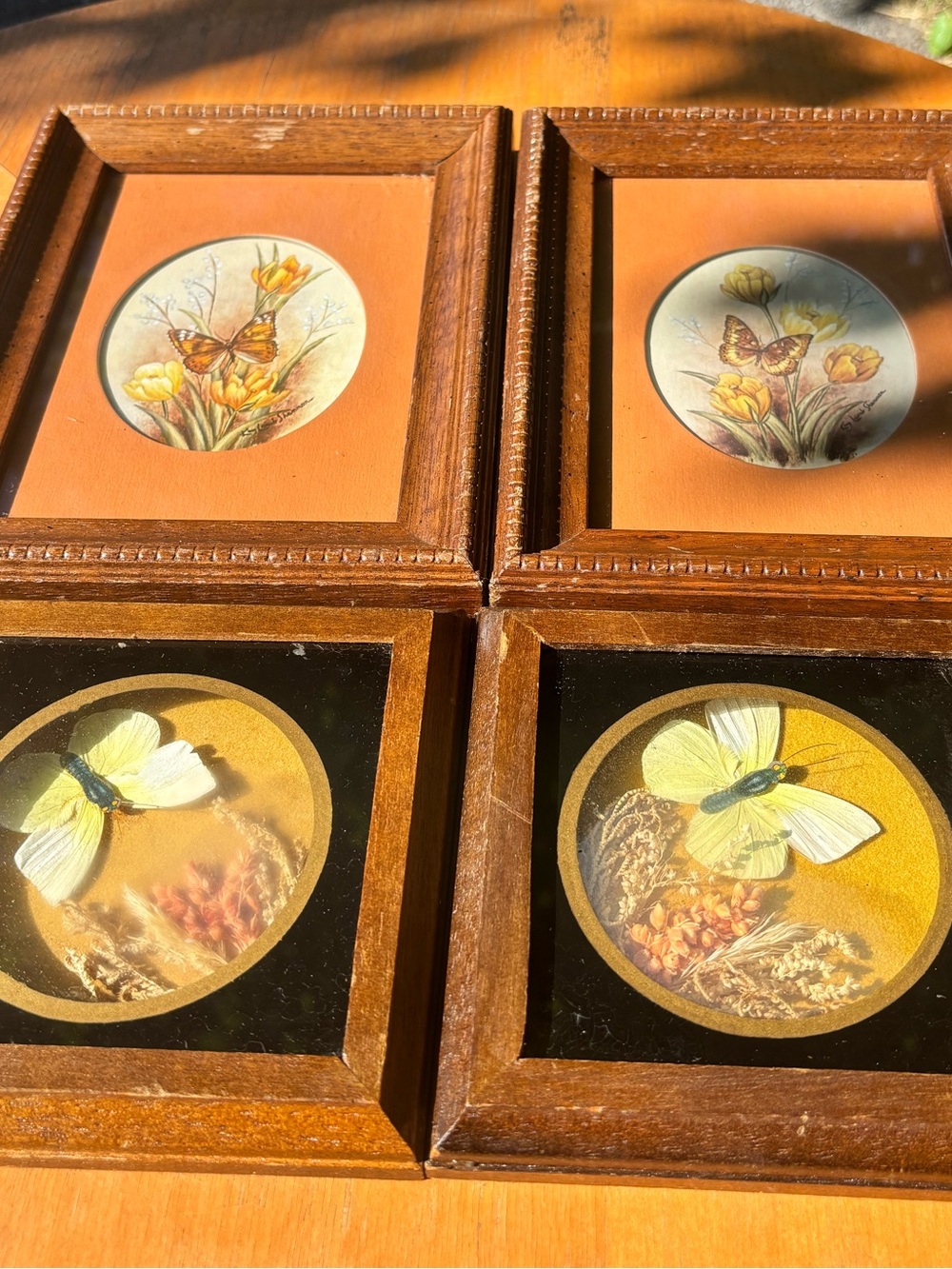4 VINTAGE BUTTERFLY IN NATURE MOTIF PICTURES. (SMALL SHADOWBOX)